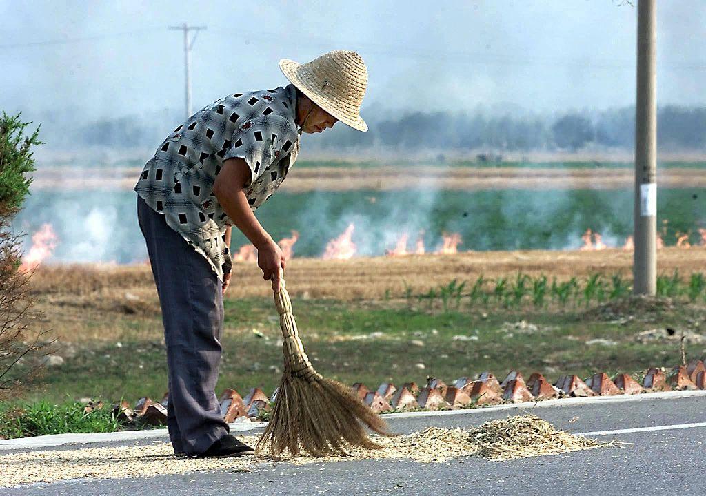CHINA-ENVIRONMENT-HARVEST