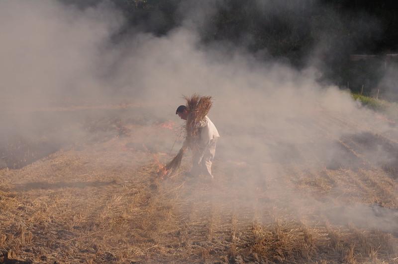 Straw Burning, PM₂.₅ and Death: Evidence from China | Thought Leadership Briefs | Publications | HKUST Institute for Emerging Market Studies