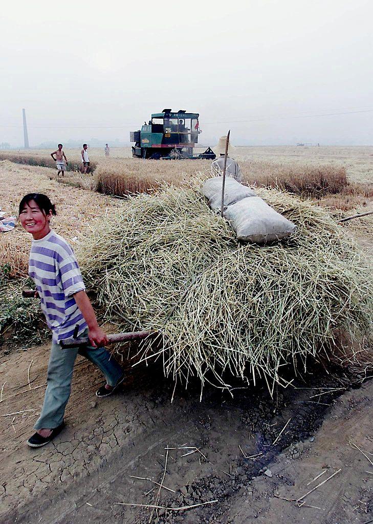 CHINA-AGRICULTURE-HARVEST3
